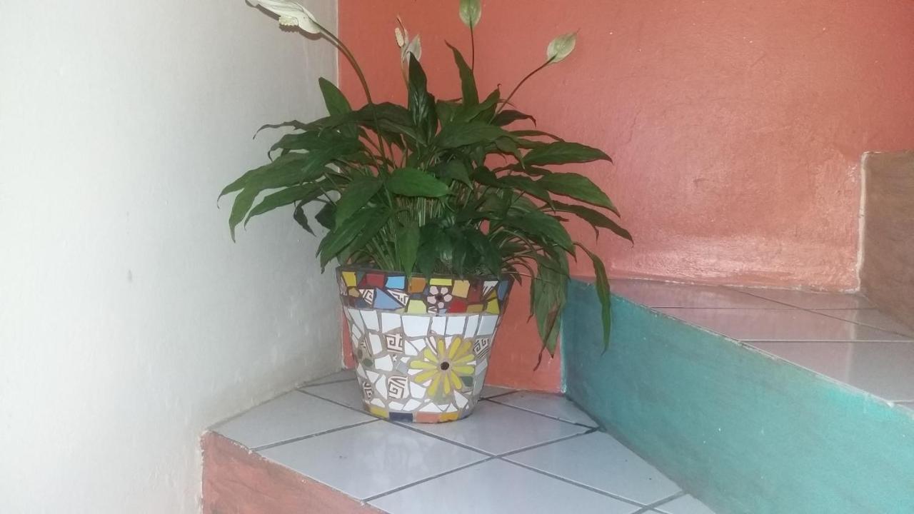 Casa Hostel Mosaicos Dya Florianópolis Esterno foto